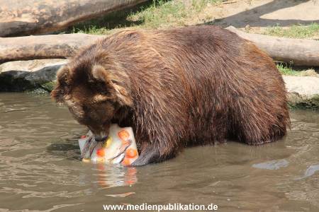 Hagenbeck 25072013 150