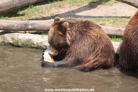 Hagenbeck 25072013 151