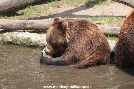 Hagenbeck 25072013 152