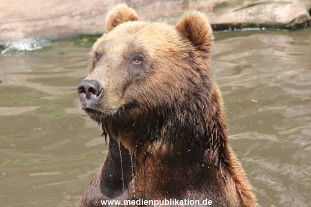 Hagenbeck 25072013 153