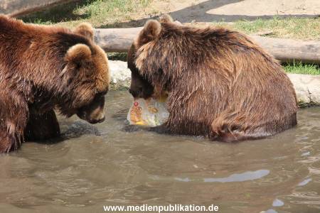 Hagenbeck 25072013 154