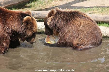 Hagenbeck 25072013 155