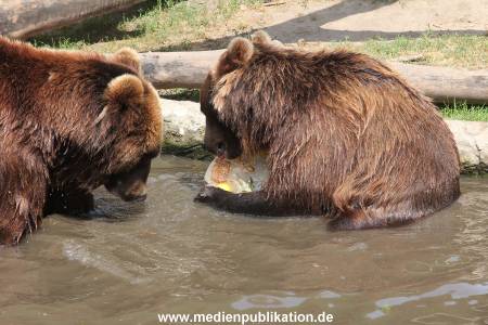 Hagenbeck 25072013 156