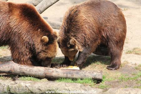 Hagenbeck 25072013 157