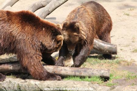 Hagenbeck 25072013 159