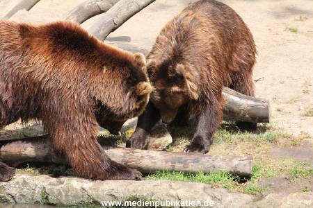 Hagenbeck 25072013 160