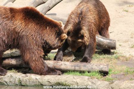 Hagenbeck 25072013 161