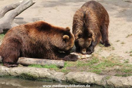 Hagenbeck 25072013 162