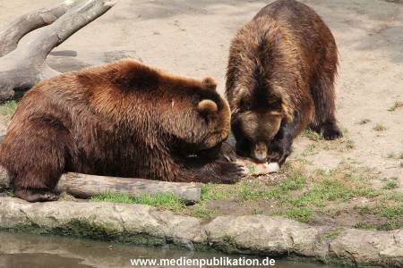 Hagenbeck 25072013 163