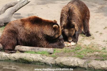 Hagenbeck 25072013 164