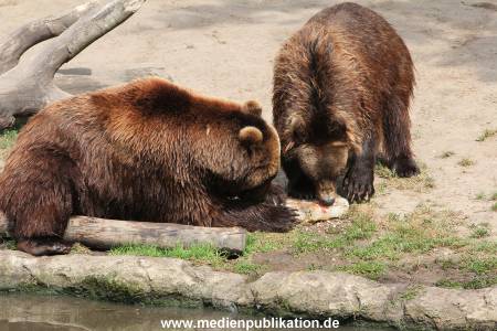 Hagenbeck 25072013 165