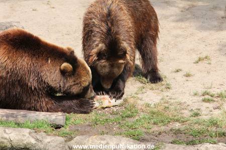 Hagenbeck 25072013 166