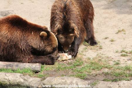 Hagenbeck 25072013 170