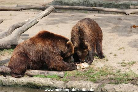 Hagenbeck 25072013 171