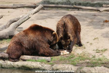 Hagenbeck 25072013 172