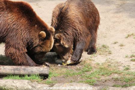 Hagenbeck 25072013 173