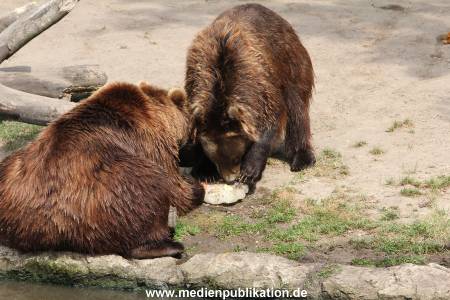 Hagenbeck 25072013 176