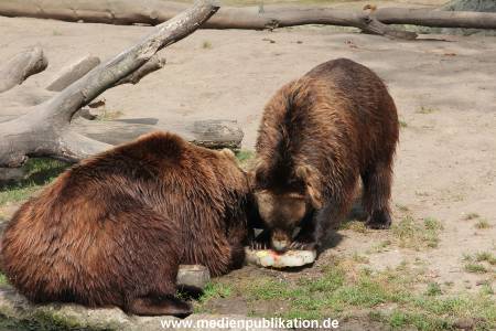 Hagenbeck 25072013 177