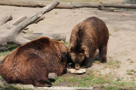 Hagenbeck 25072013 178