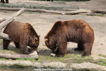 Hagenbeck 25072013 181