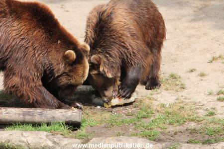 Hagenbeck 25072013 182
