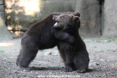 Hagenbeck 25082014 002