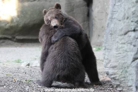 Hagenbeck 25082014 003