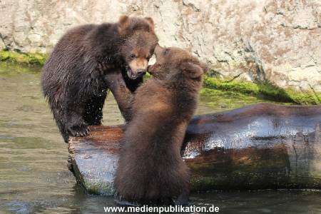 Hagenbeck 25082014 004