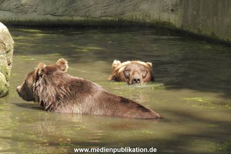 Hagenbeck 26092016 005