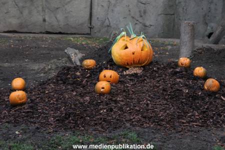 Hagenbeck 28102011 001