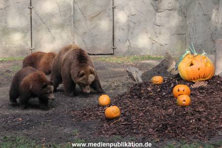 Hagenbeck 28102011 007