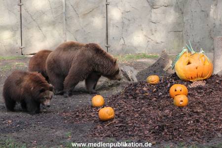 Hagenbeck 28102011 008