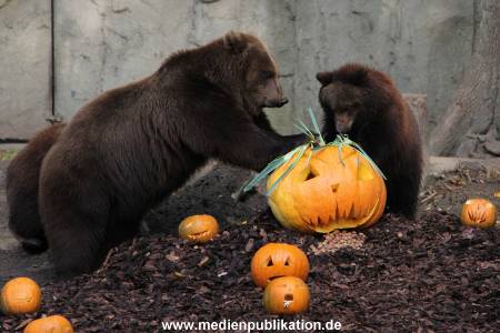 Hagenbeck 28102011 011