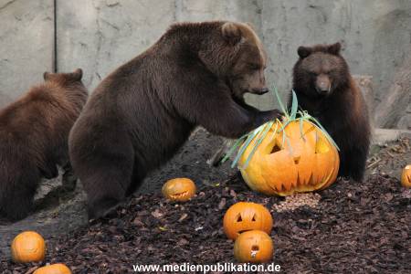 Hagenbeck 28102011 012