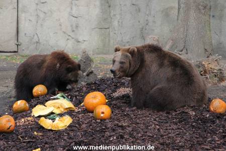 Hagenbeck 28102011 013