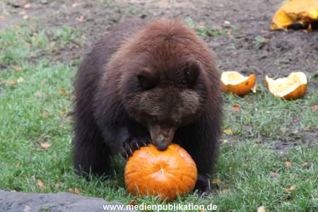 Hagenbeck 28102011 020