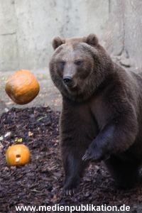 Hagenbeck 28102011 026