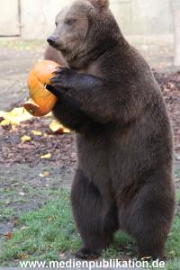 Hagenbeck 28102011 027