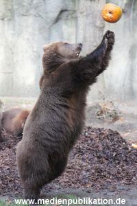 Hagenbeck 28102011 028