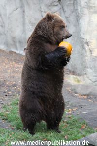 Hagenbeck 28102011 029