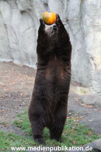 Hagenbeck 28102011 030