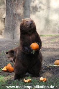 Hagenbeck 28102011 032