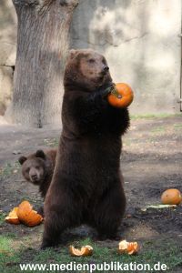 Hagenbeck 28102011 033