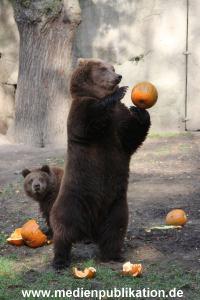 Hagenbeck 28102011 034