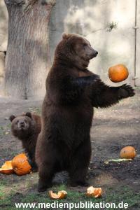 Hagenbeck 28102011 035