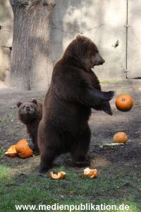 Hagenbeck 28102011 036