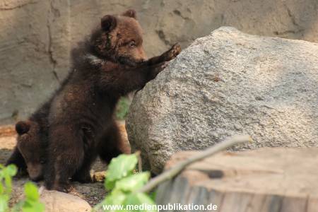 Hagenbeck 29042011 001
