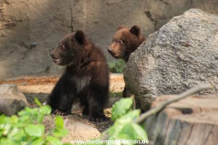 Hagenbeck 29042011 002