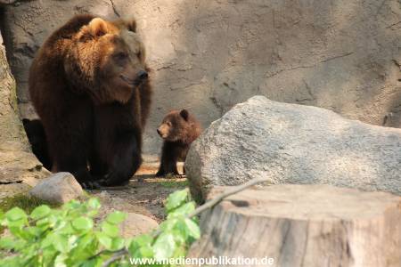 Hagenbeck 29042011 003