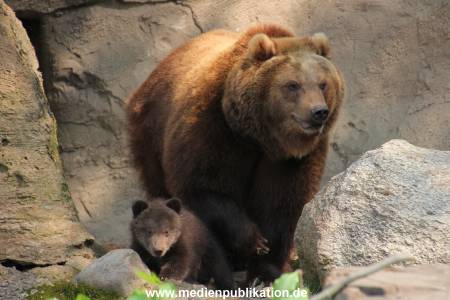 Hagenbeck 29042011 004